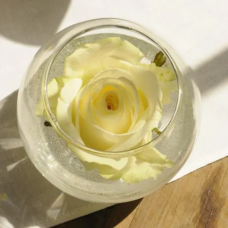 Nocleg ze śniadaniem Fine Fleur Brugia